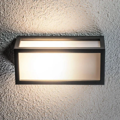 Afbeelding van Lucande Wandlamp buiten 1licht drukgegoten aluminium, polycarbonaat H: 25 cm E27 grafiet, opaalwit