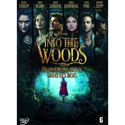 Afbeelding van Into The Woods