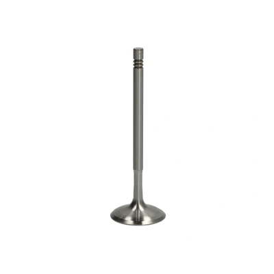 Afbeelding van TRW Engine Component Inlaatklep 111229