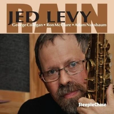 Afbeelding van Jed Levy Rain (CD)