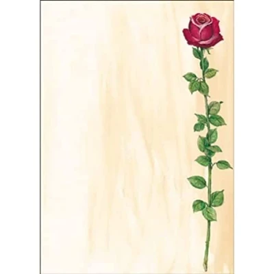 Afbeelding van Sigel, Kopieerpapier, Ontwerppapier (90 g/m², 25 x, A4)