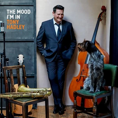 Afbeelding van Tony Hadley The Mood I&#039;m In (LP)