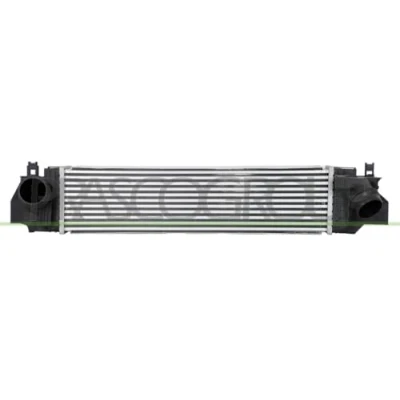 Afbeelding van PRASCO BM250N002 Intercooler