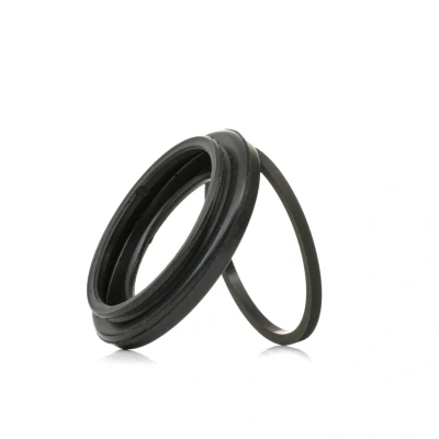 Afbeelding van Pakkingset, remklauw ATE 11044148112