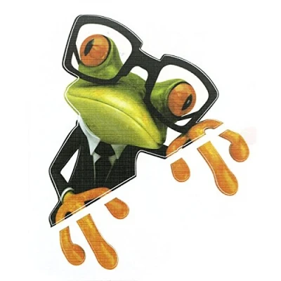 Afbeelding van SKS Distribution® 3D vinyl sticker kikker autosticker bestand tegen hoge temperaturen waterbestendig