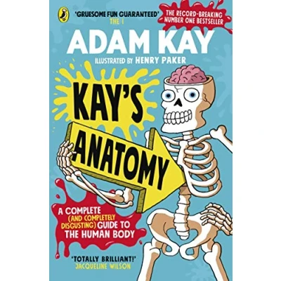 Afbeelding van Kays Anatomy