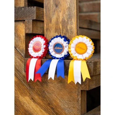 Afbeelding van LeMieux Hobby Horse Rozet