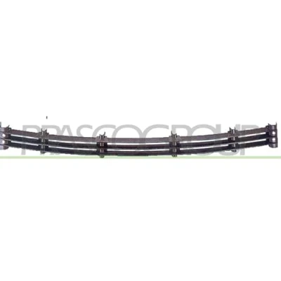 Afbeelding van PRASCO BM0972120 Bumper Grill Voor