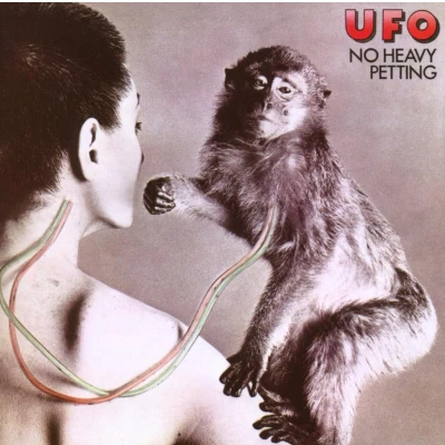 Afbeelding van No Heavy Petting