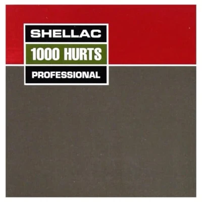 Afbeelding van Shellac 1000 Hurts (CD)