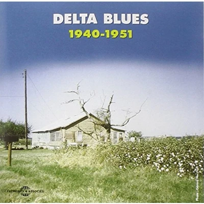 Afbeelding van Various Artists Delta Blues 1940 1951 (2 CD)