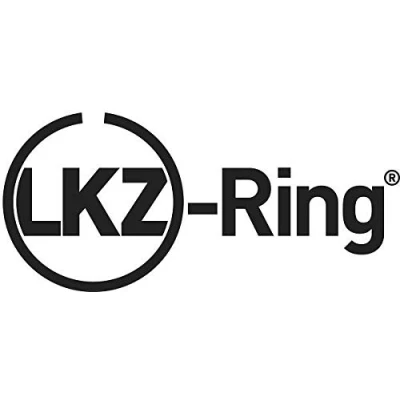 Afbeelding van GOETZE ENGINE LKZ Ring 08 123400 30 Zuigerveer 76 NISSAN: Qashqai / Qashqai+2 I, MICRA 3, RENAULT: MEGANE 2 Coupe Cabriolet