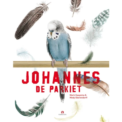 Afbeelding van Johannes de parkiet