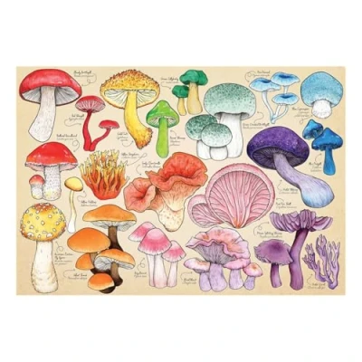 Afbeelding van Mushroom Mania 1000 stukjes Puzzel