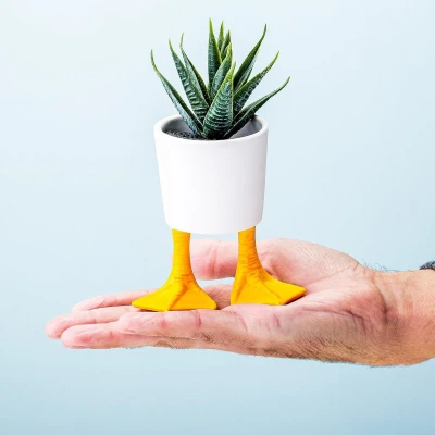 Afbeelding van Bloempot Met Eendenpoten Klein