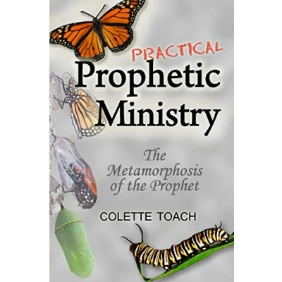Afbeelding van Practical Prophetic Ministry