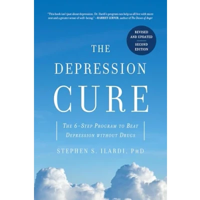 Afbeelding van The Depression Cure