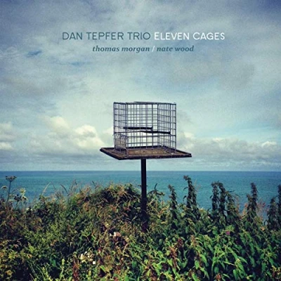 Afbeelding van Dan Tepfer Trio Eleven Cages (CD)