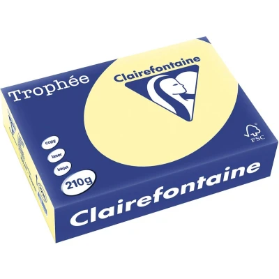 Afbeelding van Clairefontaine Trophée Pastel, Gekleurd Papier, A4, 210 G, 250 Vel, Kanariegeel Papier