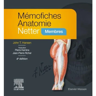 Afbeelding van Mémofiches Anatomie Netter Membres