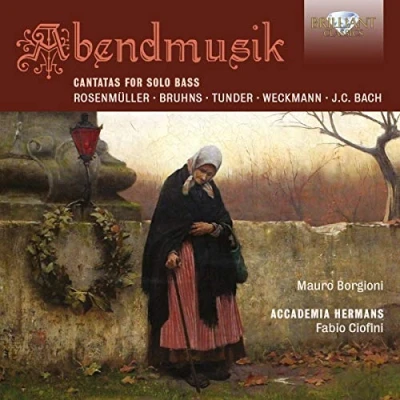 Afbeelding van Mauro Borgioni &amp; Accademia Hermans Abendmusik: Cantatas For Solo Bass (CD)