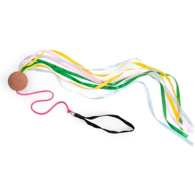Afbeelding van BS Toys Poi Slinger Dansen Bewegen Cadeau Kind Met gekleurde linten