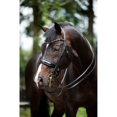 Afbeelding van HB Stang en Trenshoofdstel Special for You Zwart/Navy Full Agradi.be