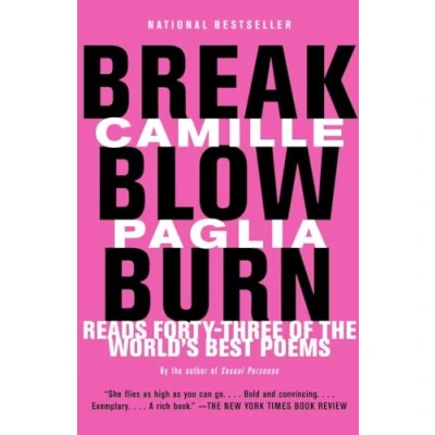 Afbeelding van Break Blow Burn