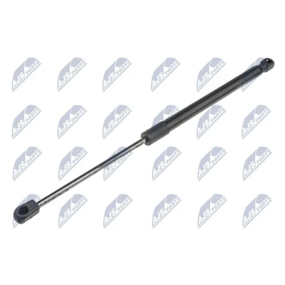 Afbeelding van NTY AE BM 067 Gasveer achterklep 710 436