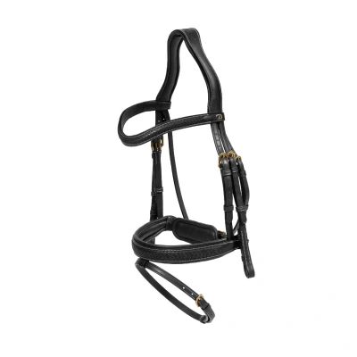 Image de Dyon Plaited Flash Noseband Bridle with Pull back D Collection