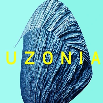 Afbeelding van Matthew Collings Uzonia (CD)