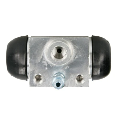 Afbeelding van Wielremcilinder DELPHI LW10101