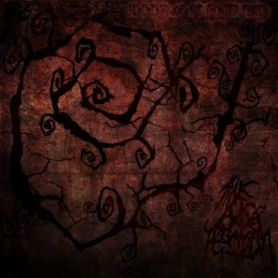 Afbeelding van Axis Of Perdition Tenements (CD)