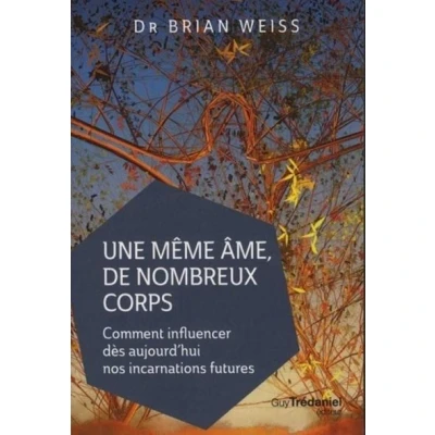 Image de Une même âme de nombreux corps Comment influencer dès aujourd&#039;hui nos incarnations futures
