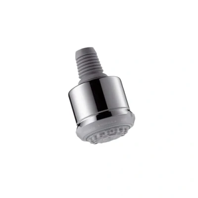 Afbeelding van Hansgrohe Clubmaster hoofddouche z.arm chroom