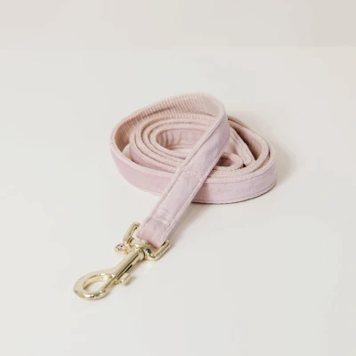 Image de Kentucky Laisse pour Chien velours Rose doux 1,2m S