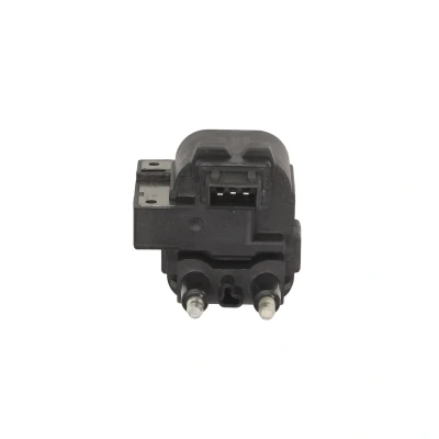 Afbeelding van Bobine DELPHI CE10021 12B1