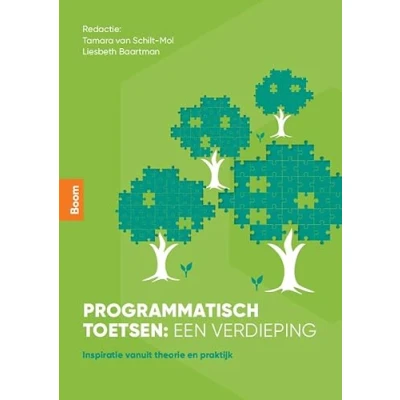 Afbeelding van Programmatisch toetsen: een verdieping
