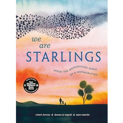 Afbeelding van We Are Starlings