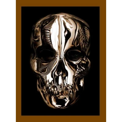 Afbeelding van Savage Beauty Alexander Mcqueen