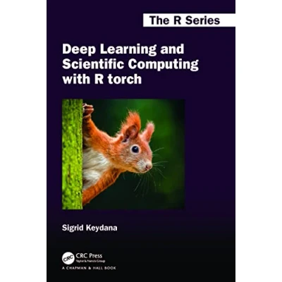 Afbeelding van Chapman &amp; Hall/CRC The R Series Deep Learning and Scientific Computing with torch