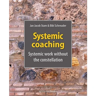 Afbeelding van Systemic Coaching