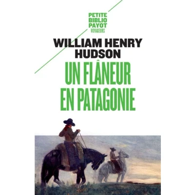 Image de Un flâneur en Patagonie