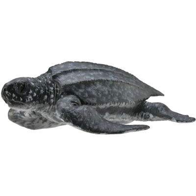 Afbeelding van COLLECTA Lederschildpad (M)