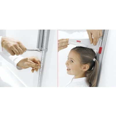 Afbeelding van Seca 216 Stand alone lengtemeter voor muurbevestiging