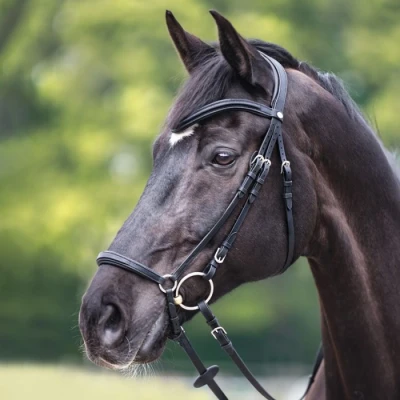 Image de Kavalkade Bride Everana Hannover Noir Cob