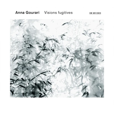 Afbeelding van Anna Gourari Visions Fugitives (CD)