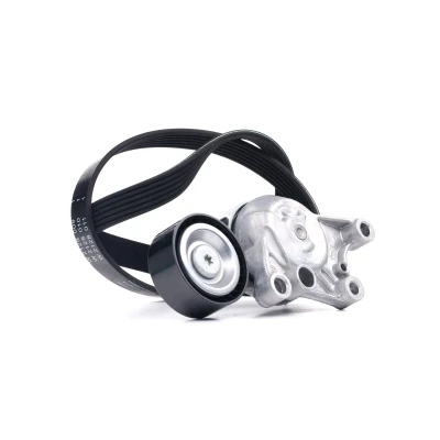 Afbeelding van INA 529 0335 10 Poly V riem set Generatorvrijloop controleren en indien nodig vervangen PEUGEOT: 308 II Hatchback, 5008 I, 208 I Hatchback