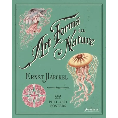 Afbeelding van Ernst Haeckel