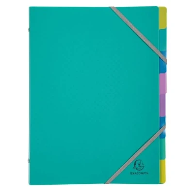 Afbeelding van Exacompta Ref. 56193E karton met 8 sorteerders Forever Young 3 kleppen elastieken omslag en binnenkant van gerecycled polypropyleen vakken afmetingen 25x32 cm voor DIN A4